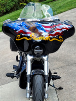 Flag and Eagle H-D Faring